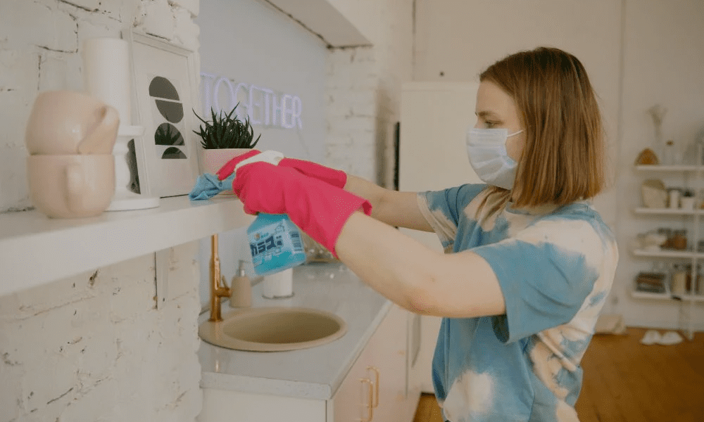 Household Tasks Bidwill 1 location img12