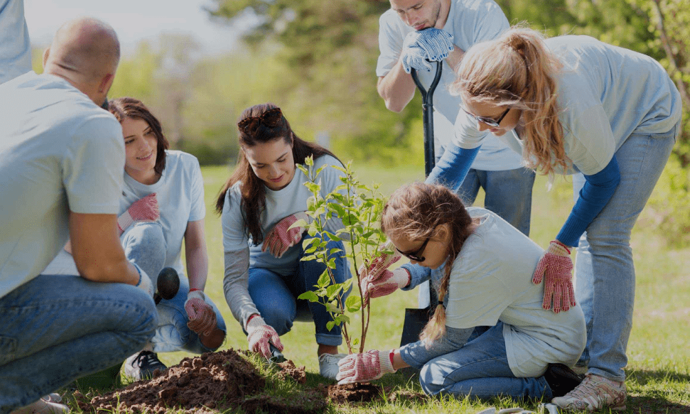 Community Participation Shalvey 1 location img17